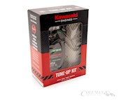 Kawasaki Maintenance Kit (99969-6665) | Coleman Equipment