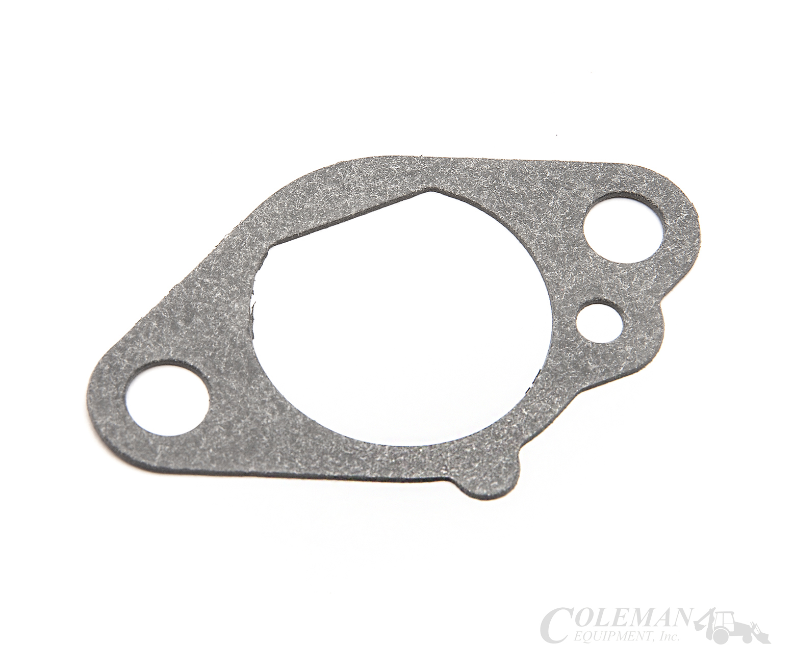 Kawasaki Gasket (11060-2341) | Coleman Equipment