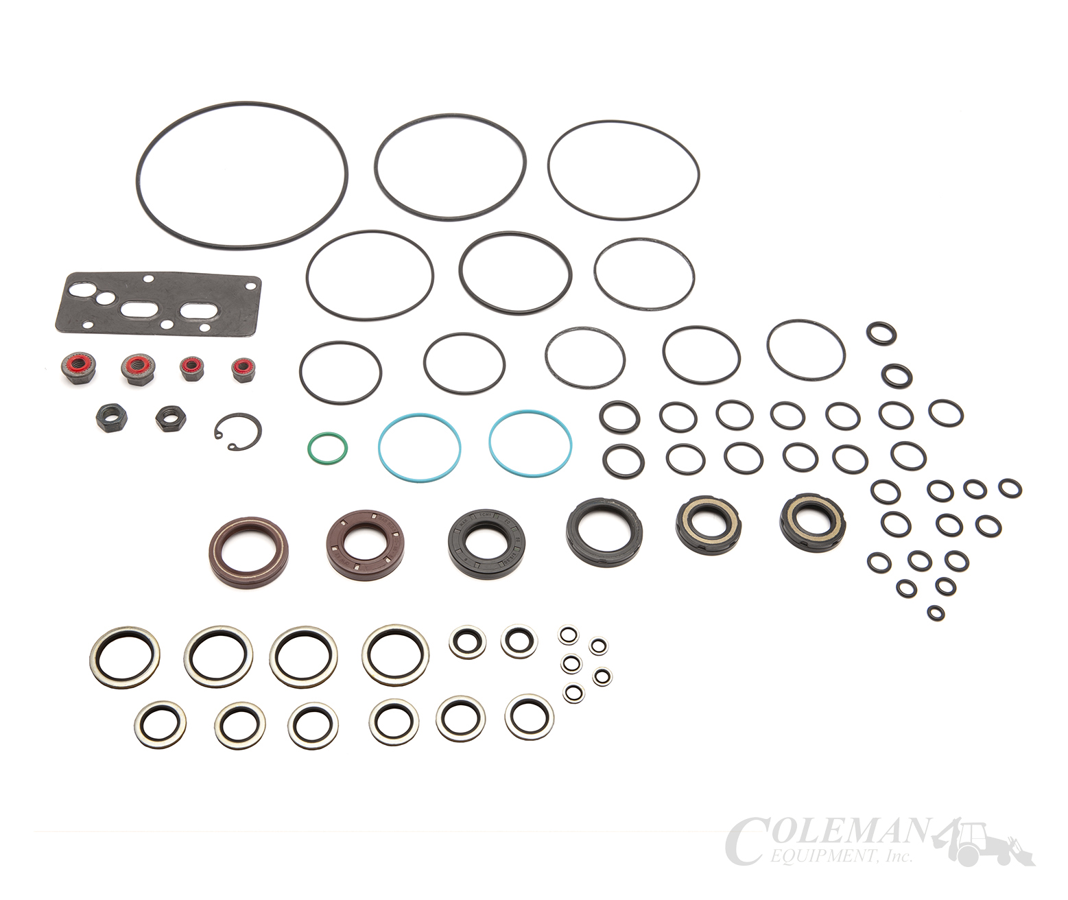 Toro Seal Kit (132-6041) | Coleman Equipment